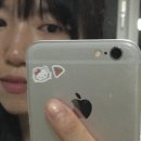 21. NE