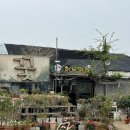 용인 꽃집 샤론의향기 방문 솔직 후기