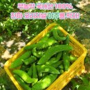 이종수내과의원 이미지