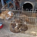 화순이서우체국 이미지