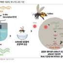 노마축산 이미지