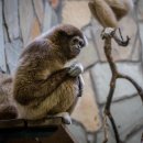 사면초가 이미지