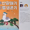 부산갈매기 강릉생존기