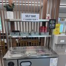 강원수산 | 평창 강원수산횟집 방문 후기 | 육백마지기 근처 송어회 맛집