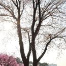 부천시 견인차량보관소 이미지