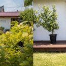 데일리로그감성사진관 이미지