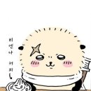애니패션