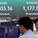 6360 매일일보