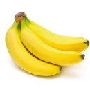 바나나 동물병원 이미지