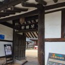 금성관/목사내아 | 나주목사내아 벚꽃 후기｜한옥과 벚꽃이 어우러진 숨은 명소