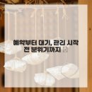 펫뷰티샵 페이보릿 | 왁싱샵 첫 경험, 어떤 느낌일까? 창원 뽐온뷰티에서 직접 겪어본 현실 후기!