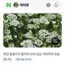 나그네 득템 이미지