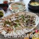 살아있네문어 | 금정구 맛집 | 부산대역 맛집 추천, 싱싱한 문어숙회와 산낙지 탕탕이 세트 후기 | 부산대 살아있네 문어