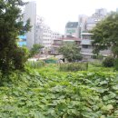 남현동-22 이미지