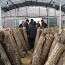 이형우농장 이미지