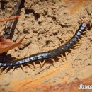 별고을테마파크 이미지