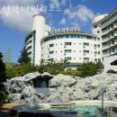 설악파인리조트 이미지