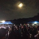 당진3동 이팝나무 이미지