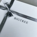 빅트리(Bigtree) 이미지