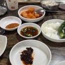 뚱이 | 울산 뚱이한우국밥 웨이팅 후기, 소고기 가득한 울산 국밥 맛집