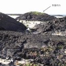 표선리-10 이미지