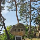 Will's Family Kennel | [제천 여행] 의림지 당일치기 코스! 넷플릭스 촬영지부터 역사박물관까지 완벽 정리