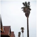 중문통나무휴양펜션 이미지