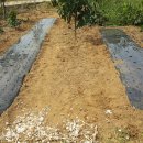 한길농부 농장 이미지