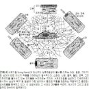 재생 및 복구 과정의 '-주위' 결합조직 기능들 이미지