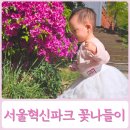 서울혁신파크 | 은평구 서울혁신파크 아기랑 산책 영산홍 나들이 피크닉 주차 정보