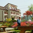 해피데이 이미지