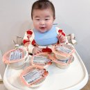 (주)하동환경중기 | 7개월 중기 이유식 배달은 닥터리의 로하스밀 시판 2주 후기