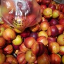 천도로 가로수길 이미지