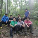 민주지산자연휴양림 야영장화장실 | [솔로캠핑+] 충북영동, 민주지산자연휴양림