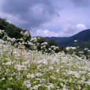 법흥2리 이미지