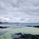 서귀포올레칼초밥게판오분전 | 제주도 여행 6일차 가고싶었던 카페 (feat. 평대해변, 평대성게국수, 카페아오오, 택하다, 커피...