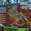 댕바우 이미지