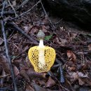 진주무도장 이미지