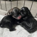 가연관악산부인과의원 이미지