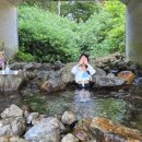 벤치하우스 | 평창 벤치하우스 애견동반 계곡펜션이용 팁 ㅣ 중형견 방문후기