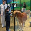 애니멀케어 | 대전 동물체험카페 애니멀스타 실내동물원 먹이주기체험