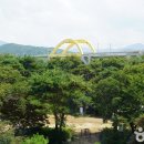 밤섬농장 이미지