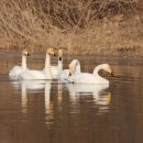 아리랑다방 이미지