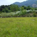 영농조합법인 김포관광농원 이미지