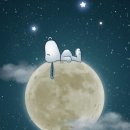 준모텔 이미지