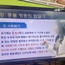 반려동물 관리사 | 반려동물종합관리사 공부 및 시험 후기 - 취업함