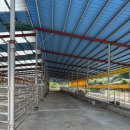 구렁농장 이미지