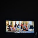 사람과 애견미용 이미지