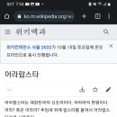 어라랍스타 위키백과 근황 이미지