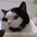 성지당구클럽 | 친구녀석들 4명이서! 게임파티룸 화랑 재방문 후기